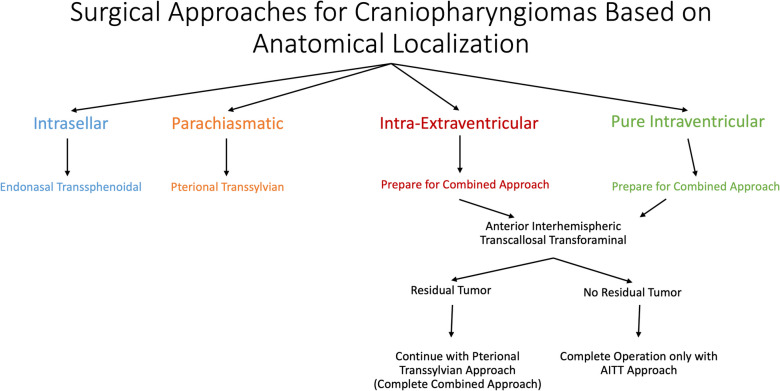 Approach Pterional Craniotomy — Fig. 2