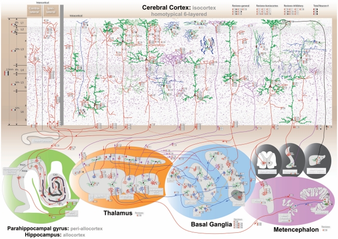 Awake Craniotomy Cortical Subcortical Mapping — Figure 1