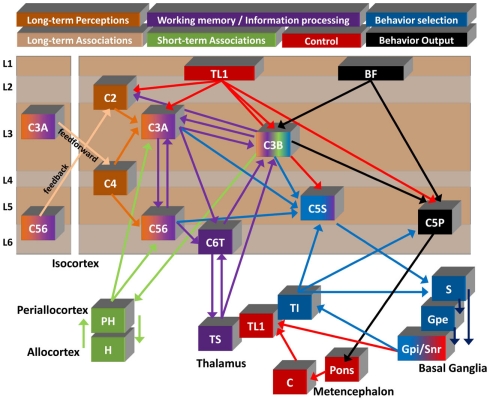 Awake Craniotomy Cortical Subcortical Mapping — Figure 5