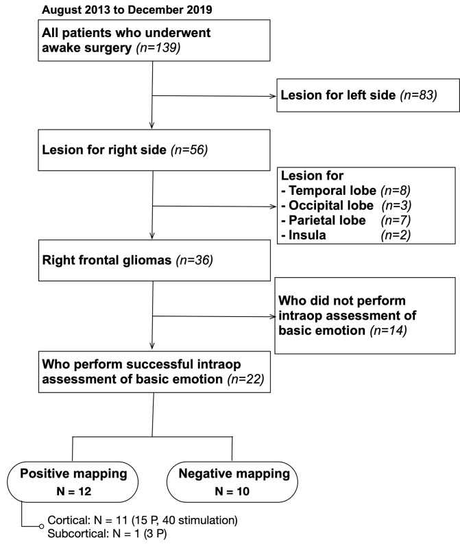 Awake Craniotomy Cortical Subcortical Mapping — Figure 1