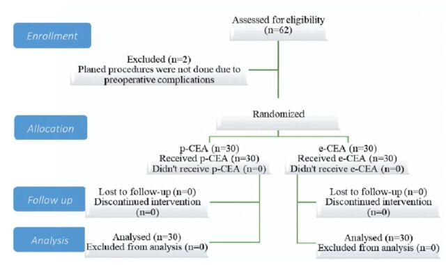 Carotid Endarterectomy — Figure 1