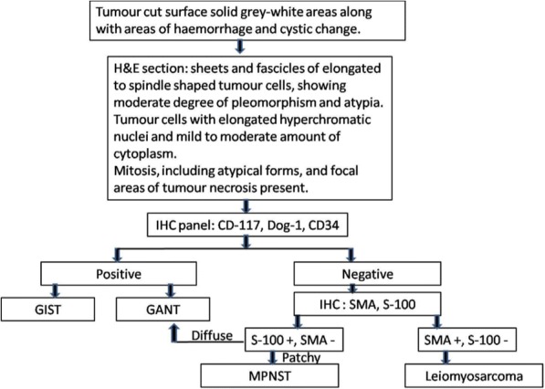 Peripheral Nerve Sheath Tumor Resection — Fig. 5