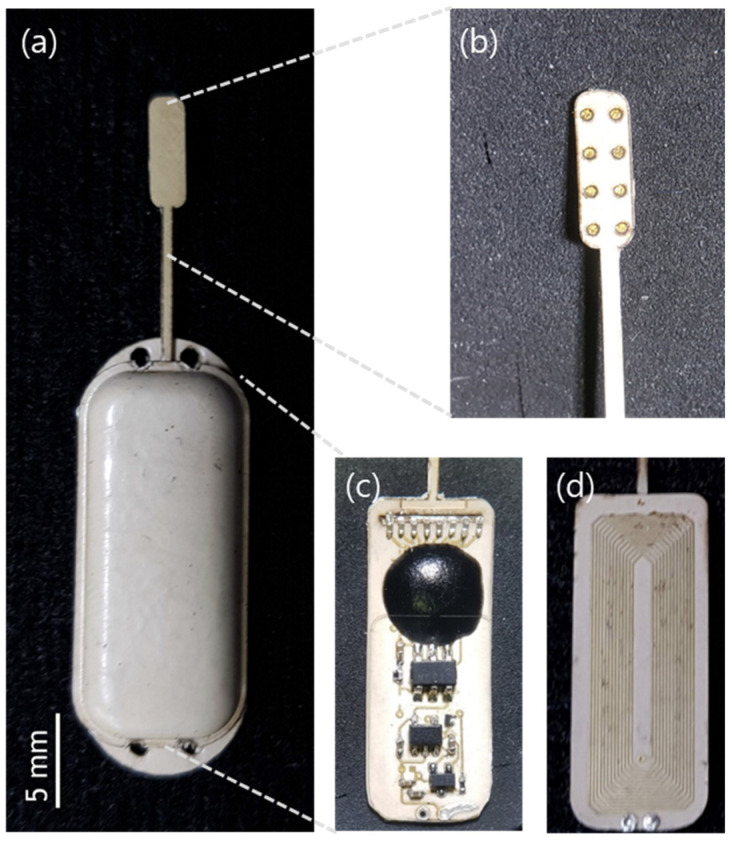 Spinal Cord Stimulator Placement — Figure 3