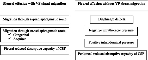 Ventriculopleural Shunt Placement — Fig. 3