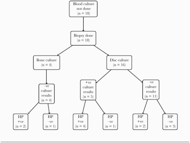 Vertebral Osteomyelitis Discitis Surgical Management — Figure 2.