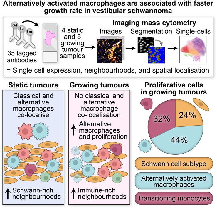 Vestibular Schwannoma Resection — Graphical Abstract