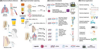 Reference Brain Biopsy Systems Stereotactic Platforms — Figure 6