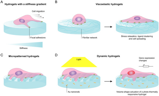 Reference Brain Biopsy Systems Stereotactic Platforms — Figure 4