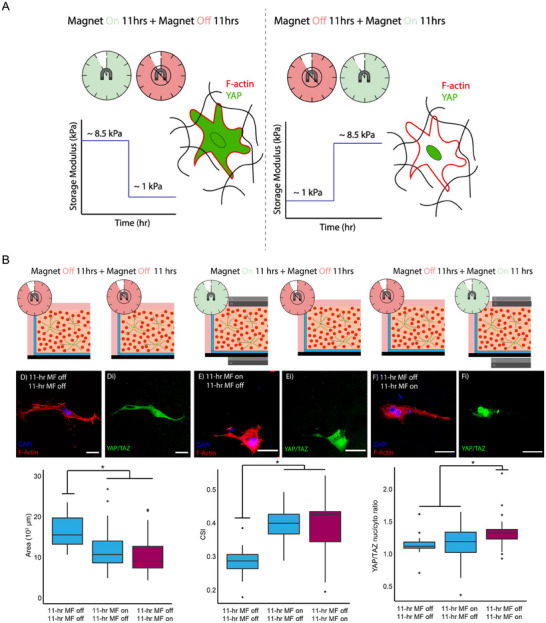 Reference Brain Biopsy Systems Stereotactic Platforms — Figure 11
